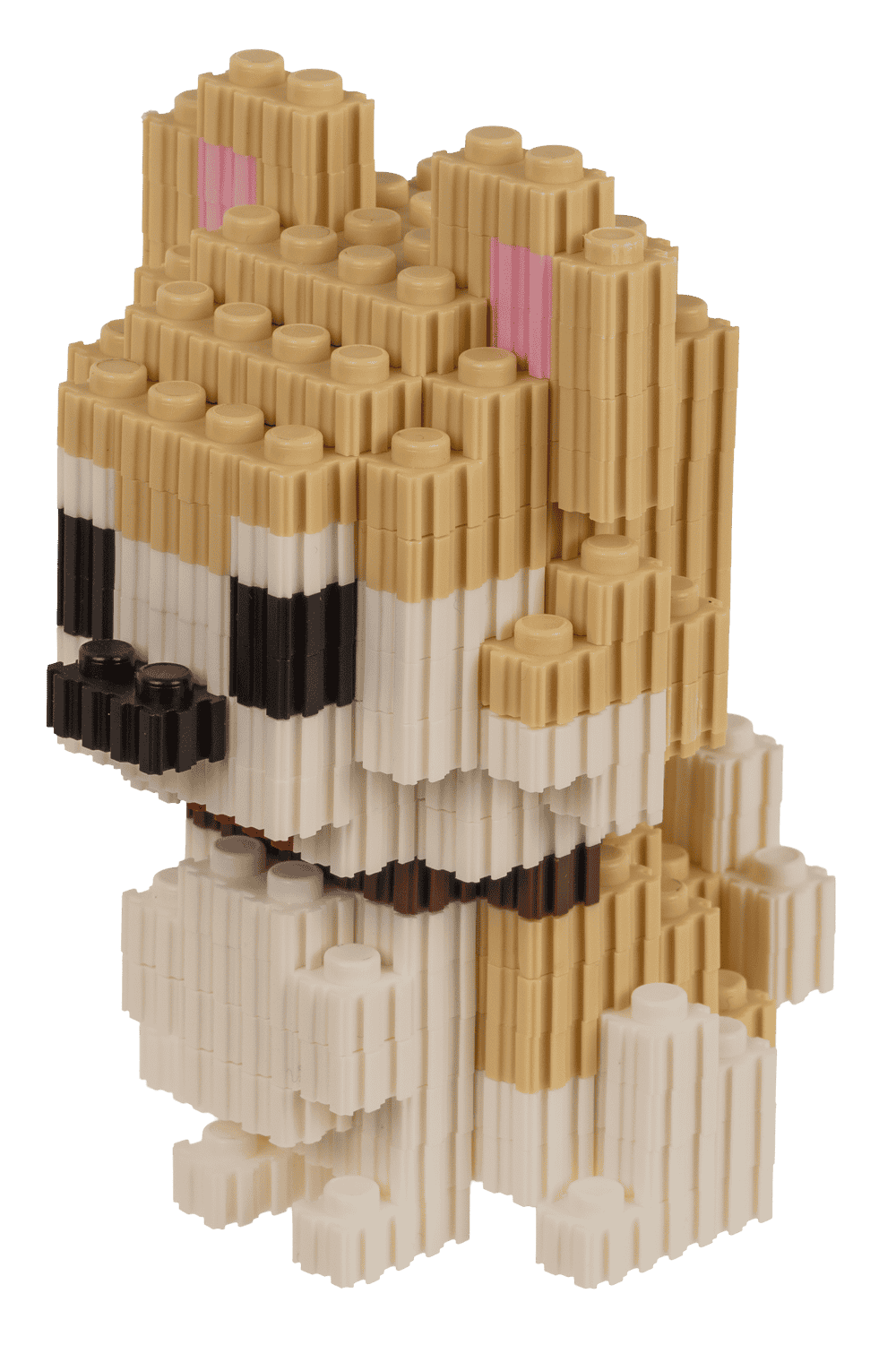 Construction blocks, Puppies,