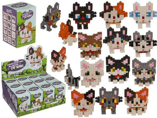 Construction blocks, Kittens,