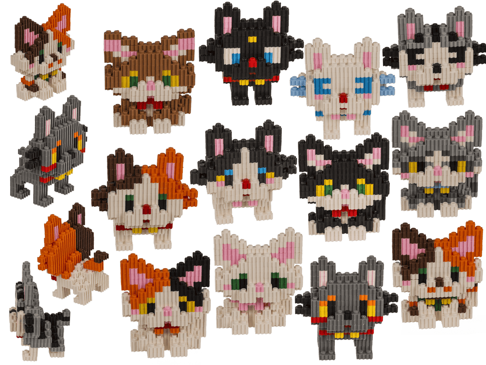 Construction blocks, Kittens,