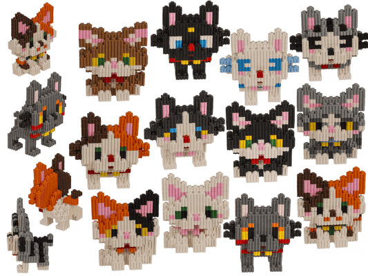 Construction blocks, Kittens,