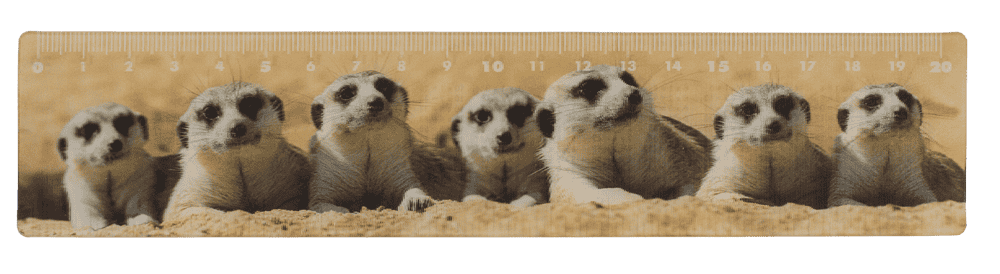 Ruler, Wildlife, 21 x 4,5 cm,