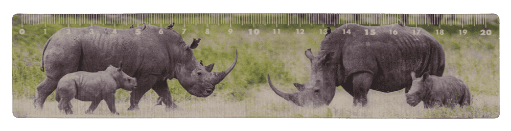 Ruler, Wildlife, 21 x 4,5 cm,