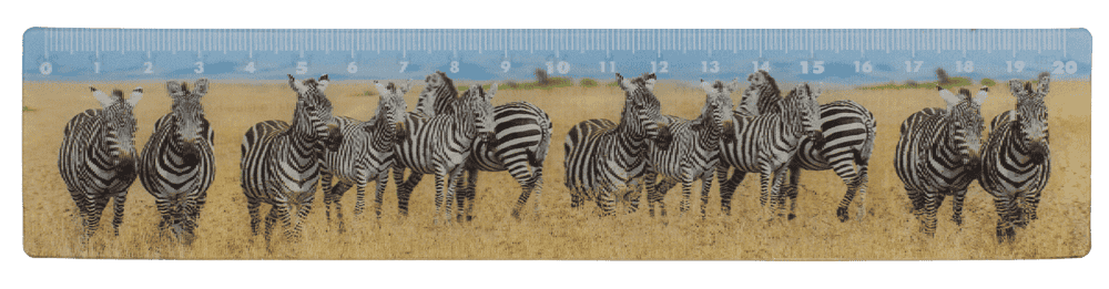 Ruler, Wildlife, 21 x 4,5 cm,