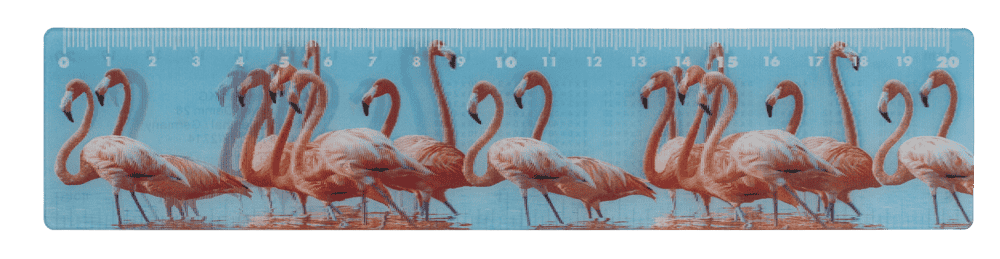 Ruler, Wildlife, 21 x 4,5 cm,