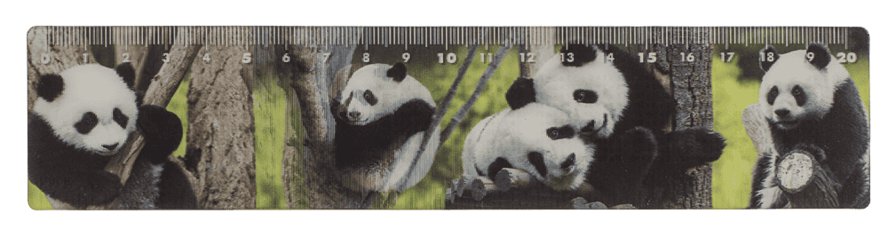 Ruler, Wildlife, 21 x 4,5 cm,