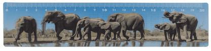 Ruler, Wildlife, 21 x 4,5 cm,