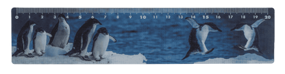 Ruler, Sealife, 21 x 4,5 cm,