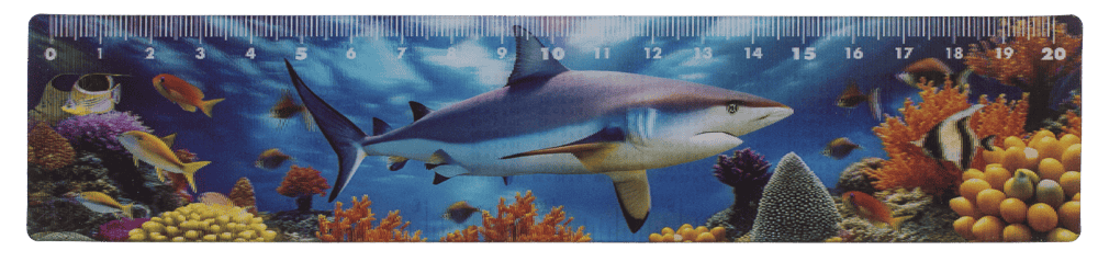 Ruler, Sealife, 21 x 4,5 cm,