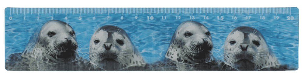 Ruler, Sealife, 21 x 4,5 cm,