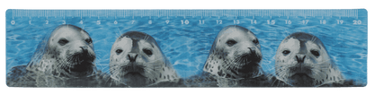 Ruler, Sealife, 21 x 4,5 cm,
