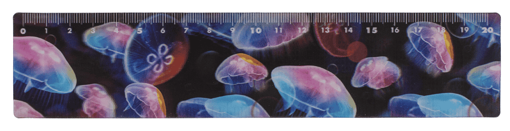 Ruler, Sealife, 21 x 4,5 cm,