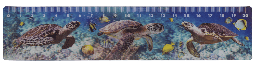 Ruler, Sealife, 21 x 4,5 cm,