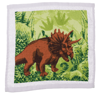 Magic cotton towel, Dinosaur,
