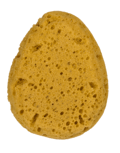 Bath sponge, in net for hanging,