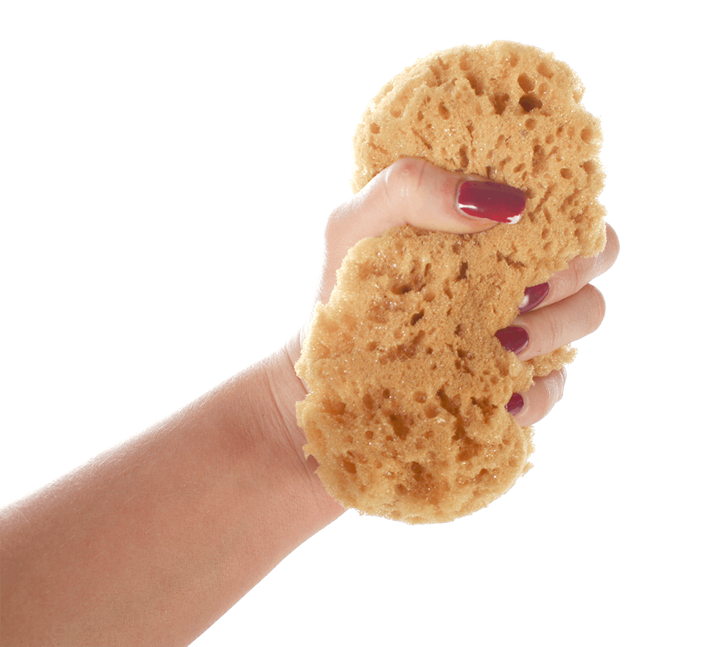 Bath sponge, in net for hanging,