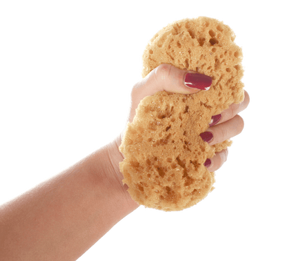 Bath sponge, in net for hanging,