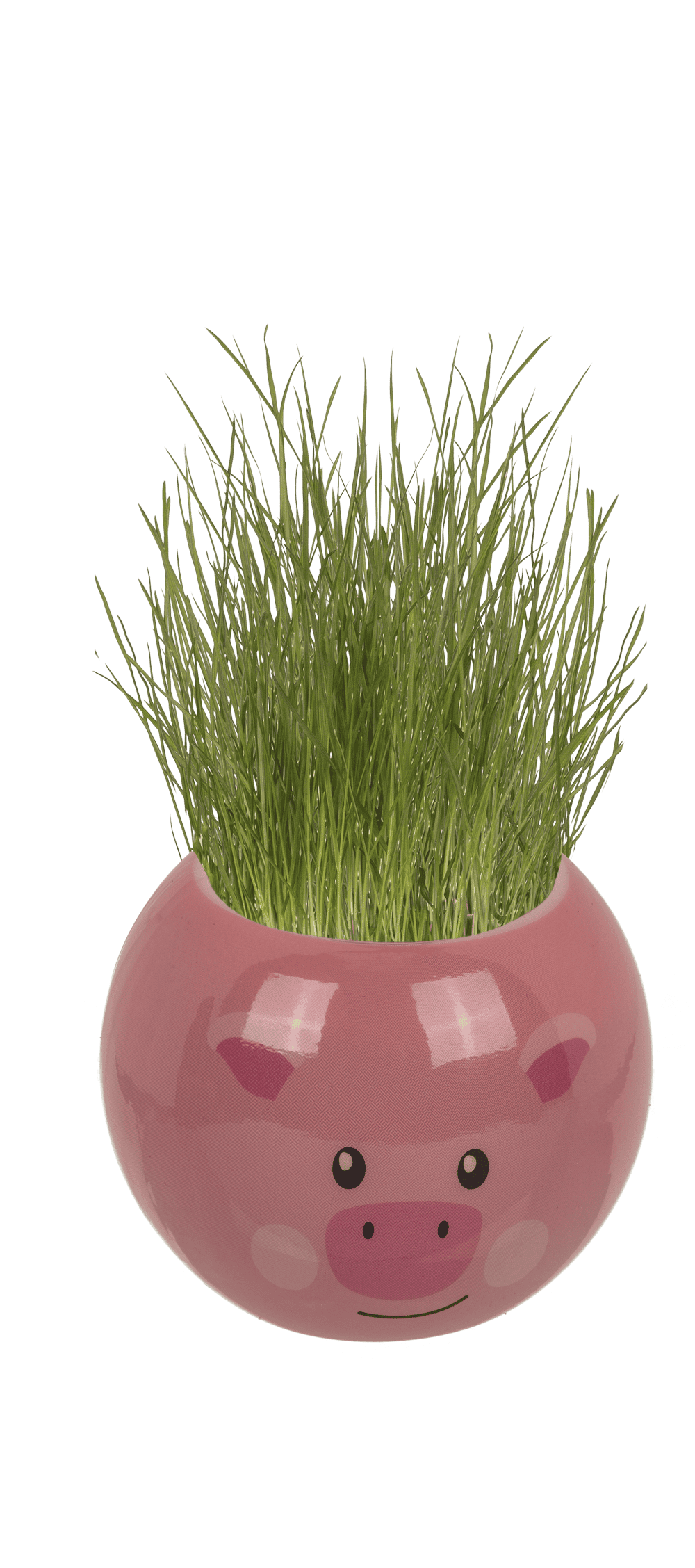 Grass head, farm animals, 6,5 cm,