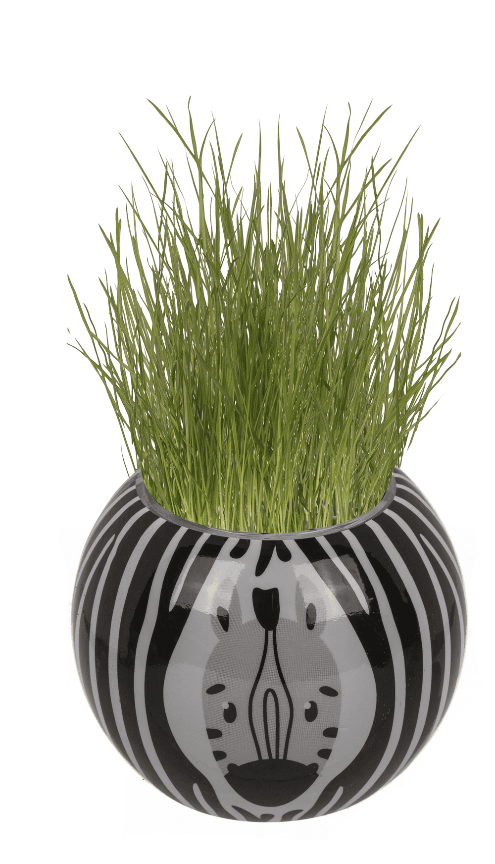 Grass head, Safari, 6,5 cm,