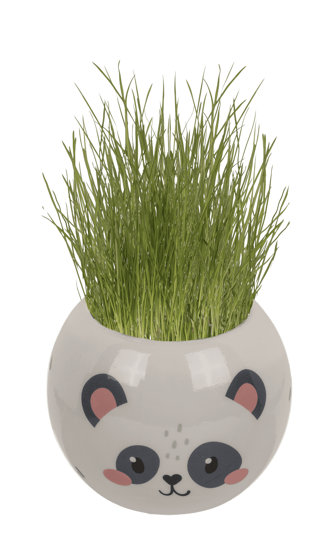 Grass head, Kawaii, 6,5 cm,