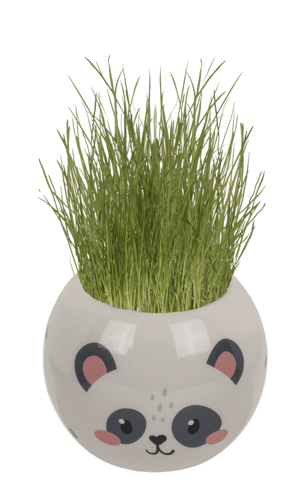 Grass head, Kawaii, 6,5 cm,