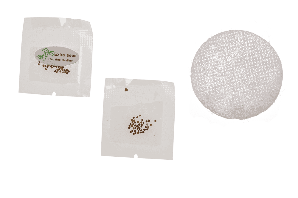 Lucky clover in plastic pot,