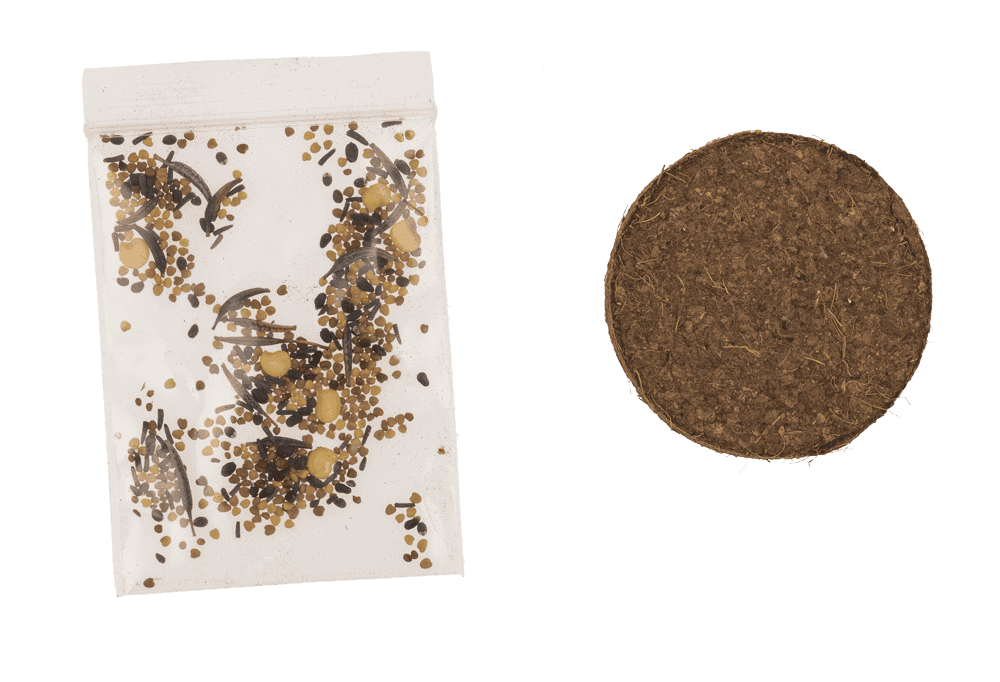 Flower seeds, Meadow, with soil pad,