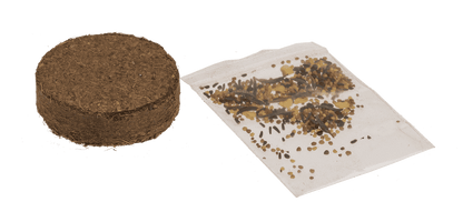 Flower seeds, Meadow, with soil pad,