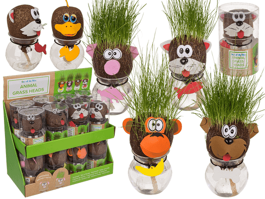 Animal Grass head,