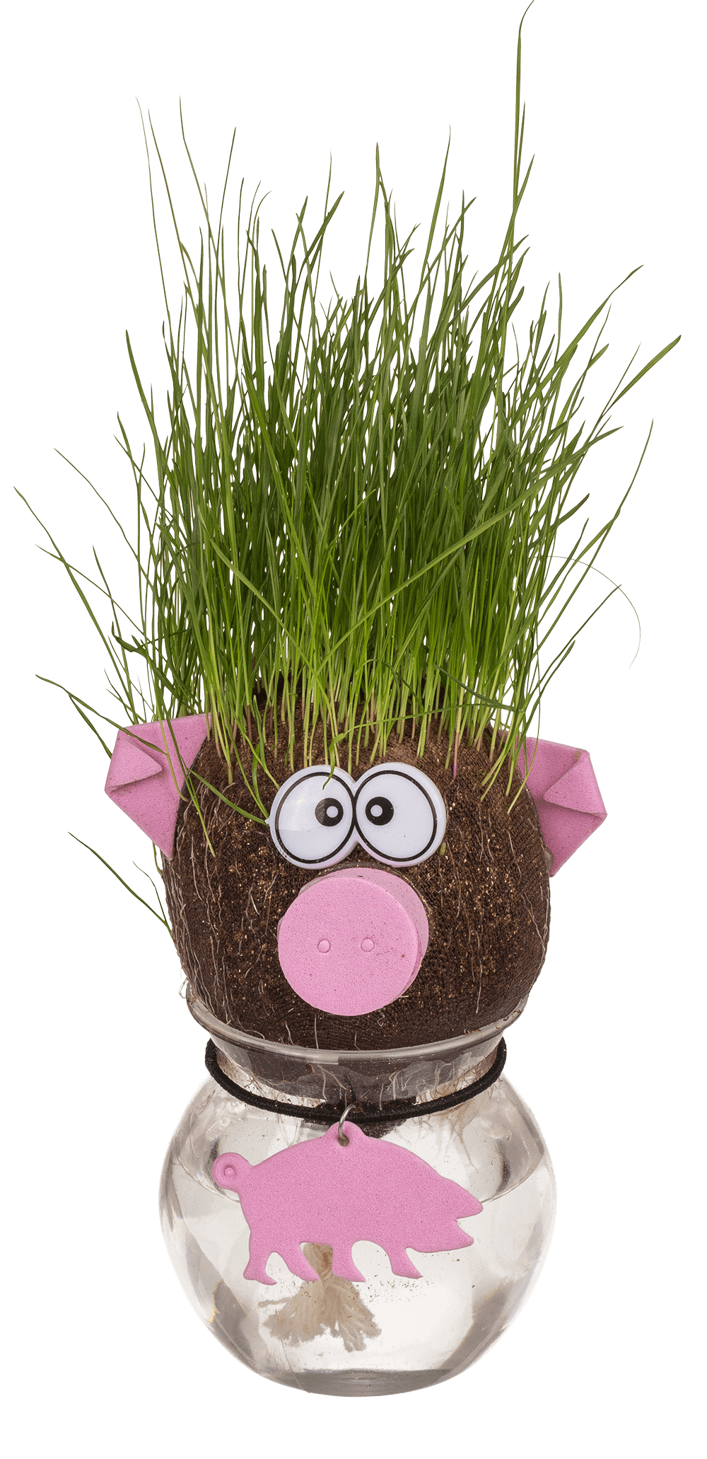 Animal Grass head,