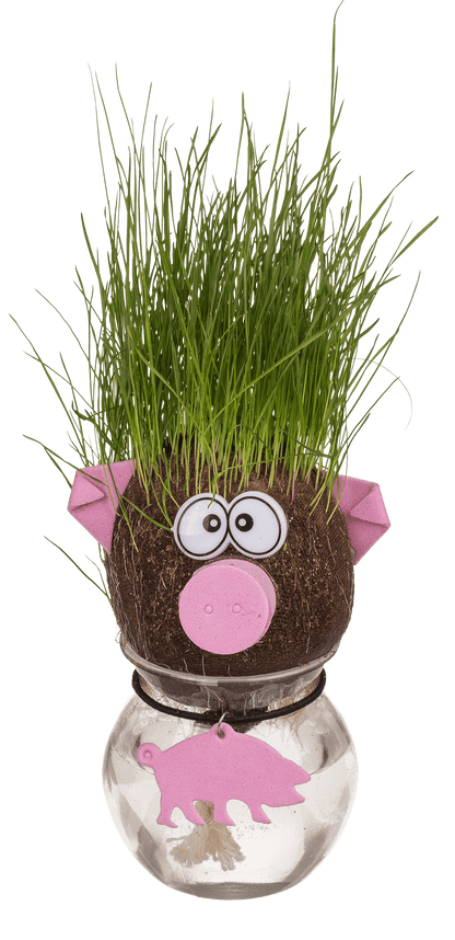 Animal Grass head,