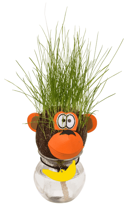 Animal Grass head,
