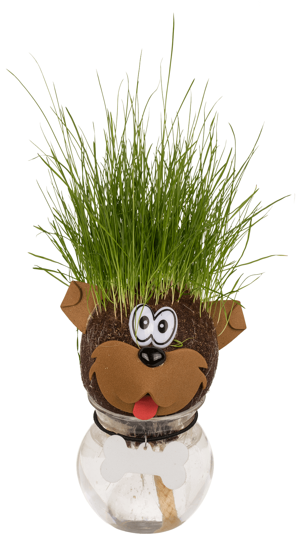 Animal Grass head,