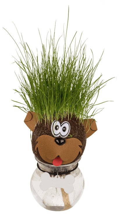 Animal Grass head,