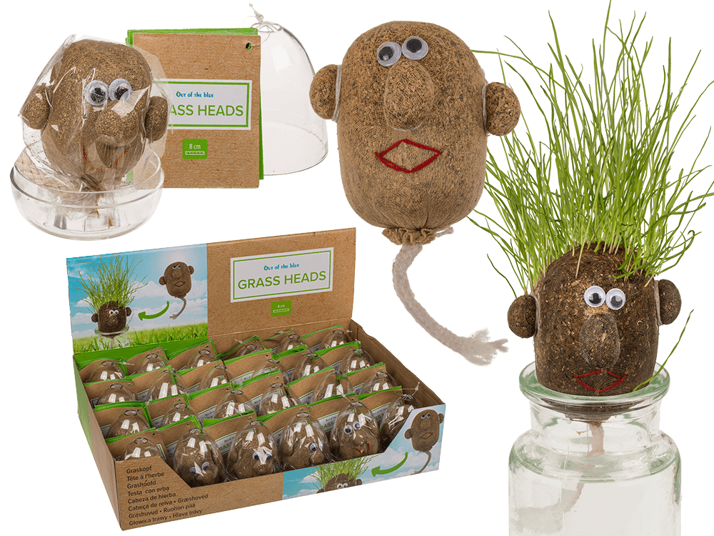 Grass head,