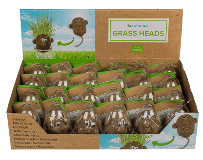 Grass head,