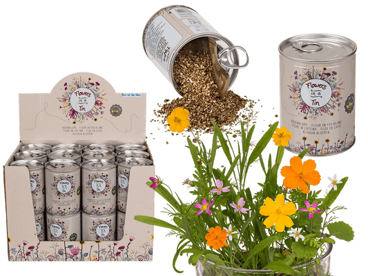 Tin Flower , Flower Meadow,