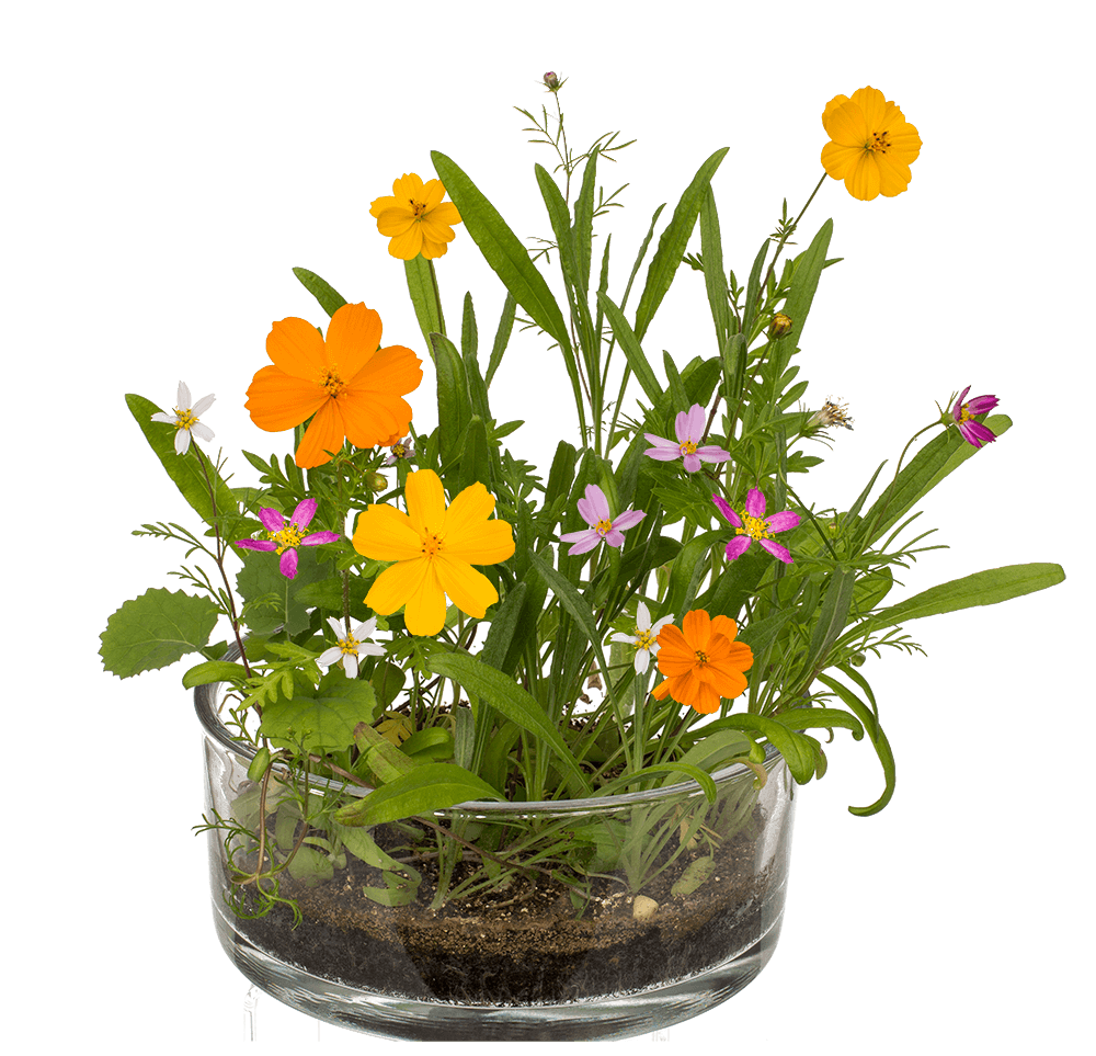 Tin Flower , Flower Meadow,