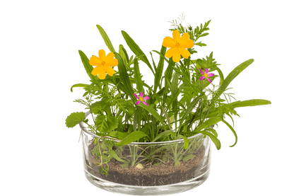 Tin Flower , Flower Meadow,