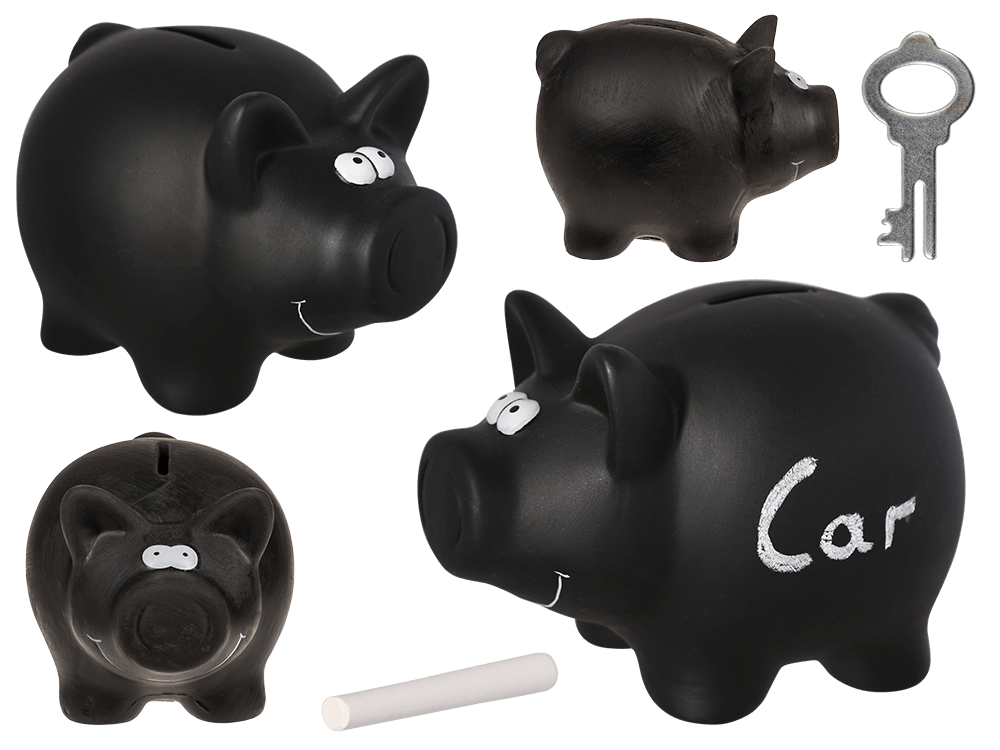 Savings bank, Black Pig,