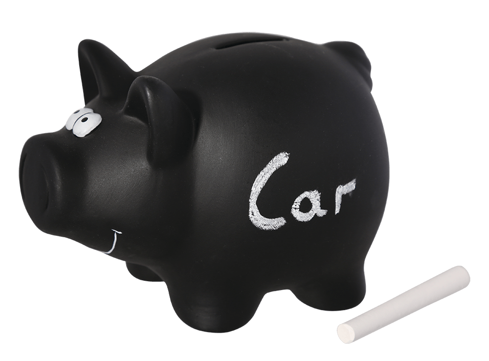 Savings bank, Black Pig,