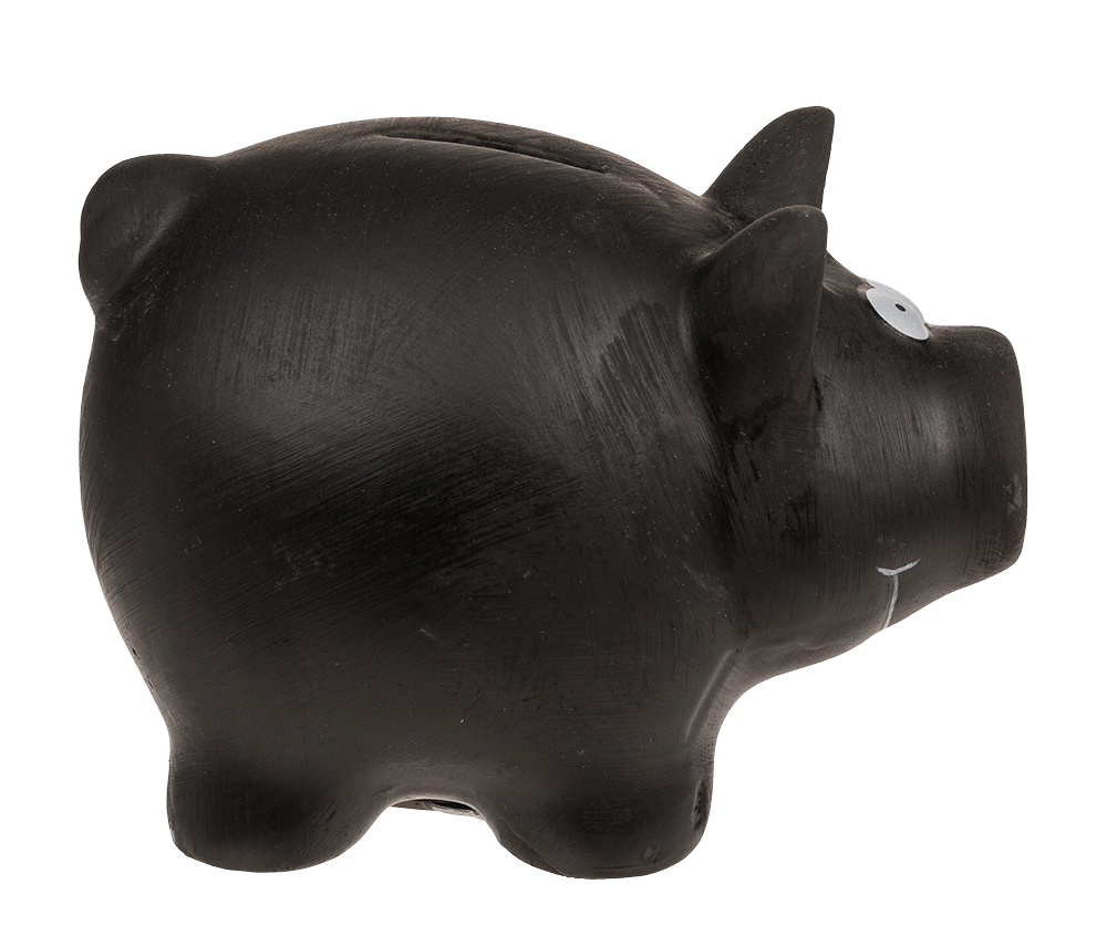 Savings bank, Black Pig,
