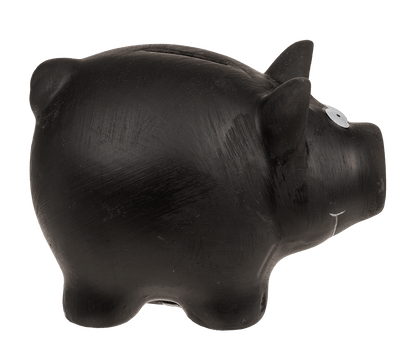 Savings bank, Black Pig,