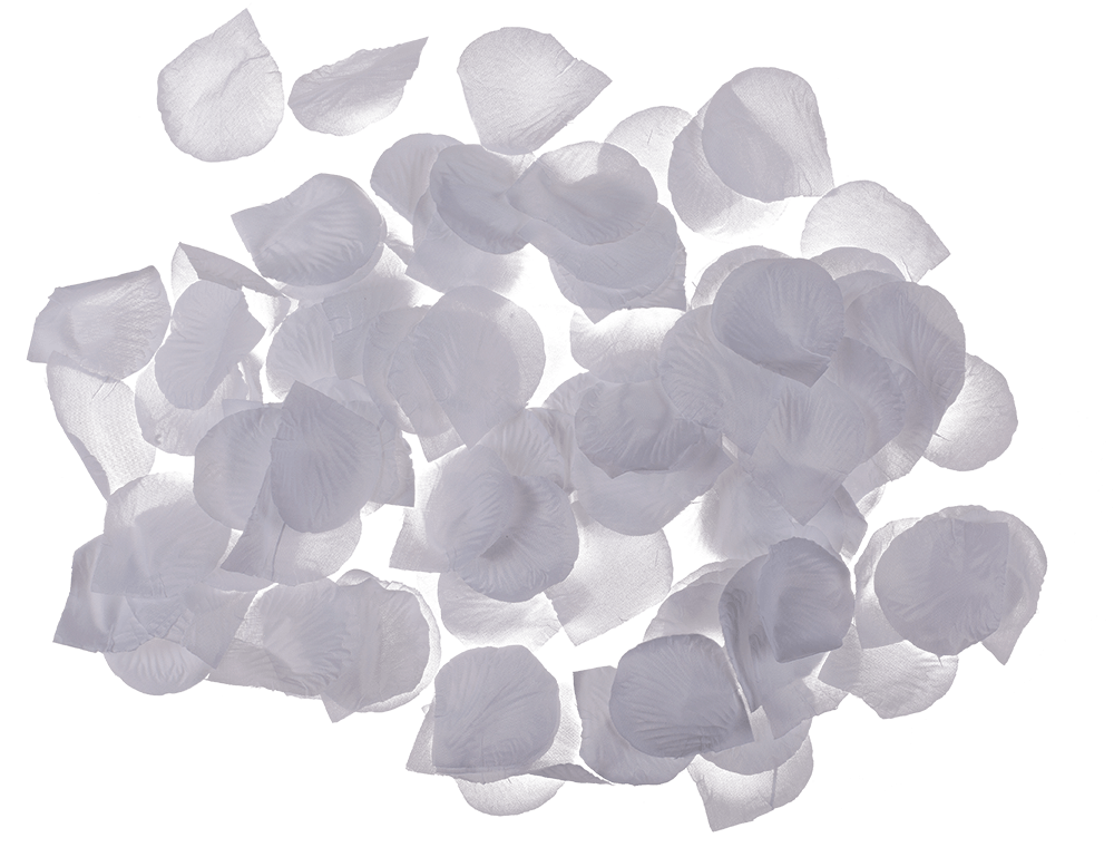 White rose petals,