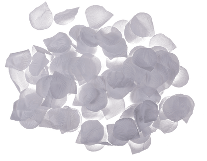White rose petals,