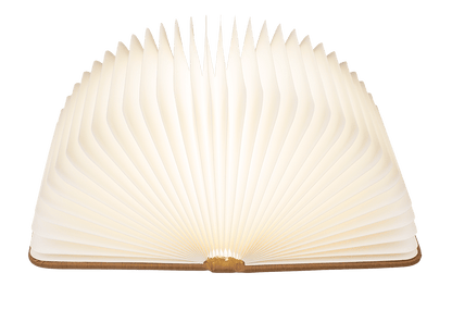 LED mood lamp, Book, ca. 17 x 13 cm,
