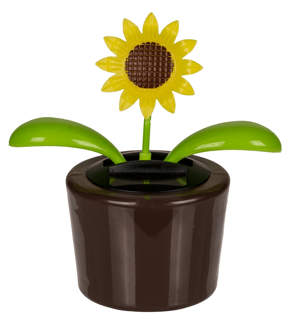 Movable flowers & insects in plastic pot with,