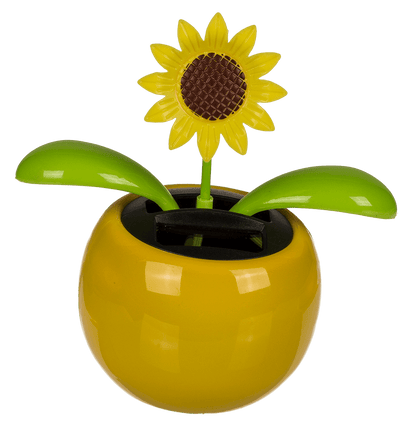 Movable flowers & insects in plastic pot with,