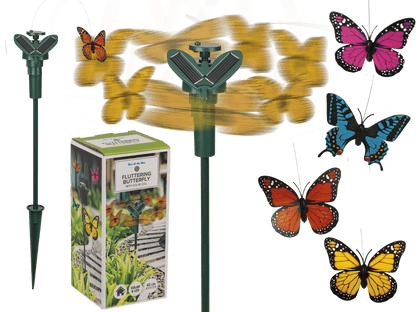 Fluttering Butterfly,