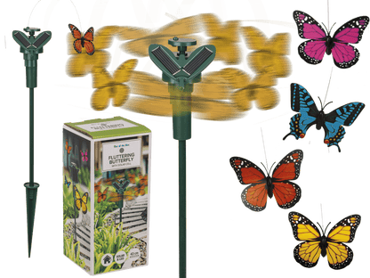 Fluttering Butterfly,