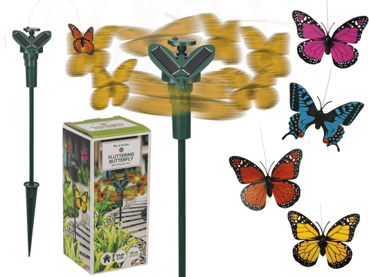 Fluttering Butterfly,